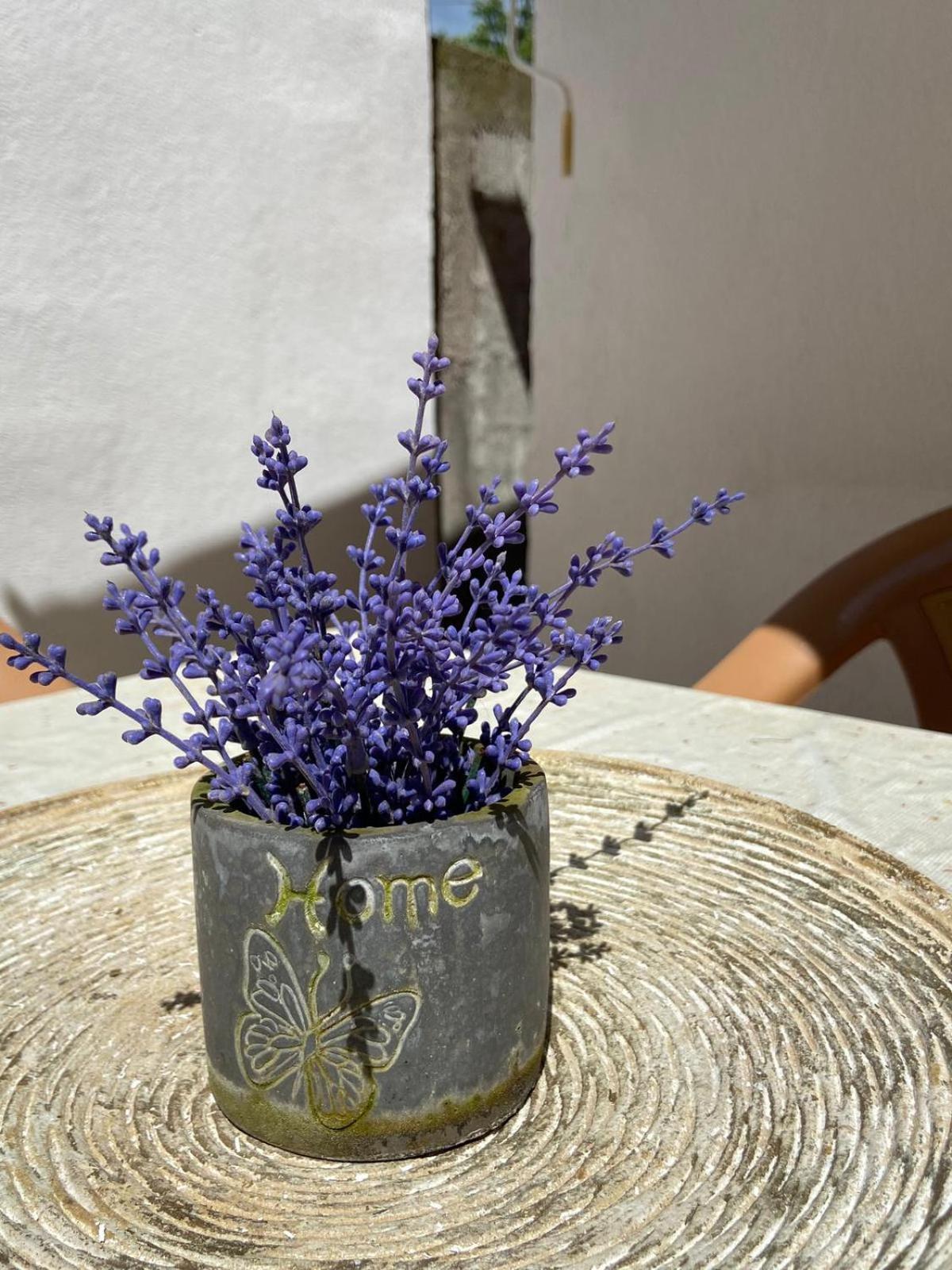 Villa Esra Mostar Rum bild